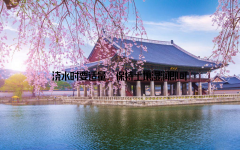 浇水时要适量, 保持土壤湿润即可