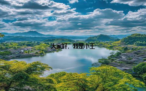 大家好, 我是小王