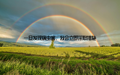 一旦发现病虫害, 我会立即采取措施