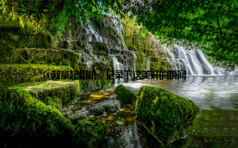 我拿起相机, 记录下这美好的瞬间