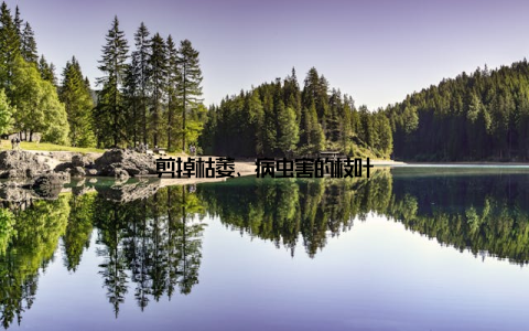 剪掉枯萎、病虫害的枝叶