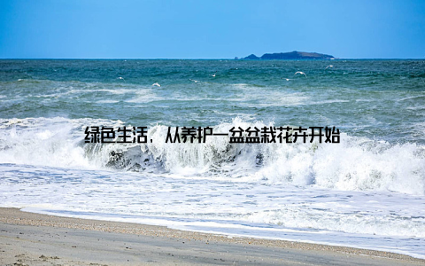 绿色生活, 从养护一盆盆栽花卉开始