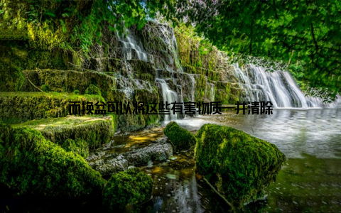 而换盆可以将这些有害物质一并清除