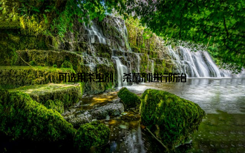 可选用杀虫剂、杀菌剂进行防治