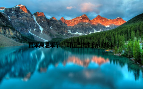 夏季高温季节, 可适当增加浇水频率