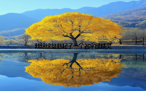 我给这盆栽起了一个名字绿精灵