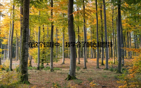 在这个过程中, 我学会了耐心和坚持