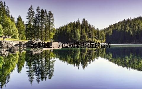 定期施肥, 为盆栽提供充足的营养