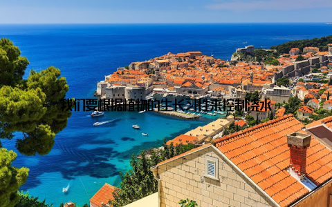 我们要根据植物的生长习性来控制浇水