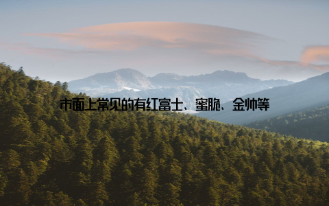 市面上常见的有红富士、蜜脆、金帅等