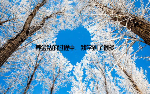 养金钻的过程中, 我学到了很多