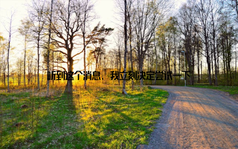 听到这个消息, 我立刻决定尝试一下