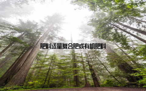 肥料适量复合肥或有机肥料