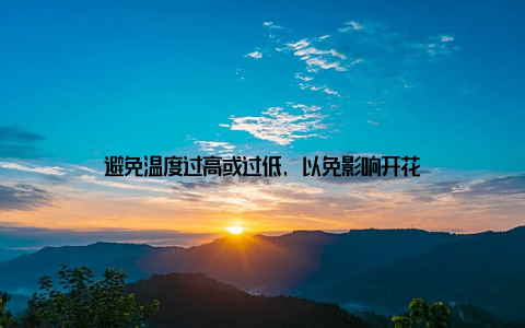 避免温度过高或过低, 以免影响开花