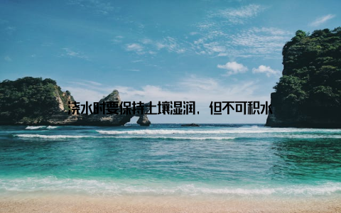 浇水时要保持土壤湿润, 但不可积水