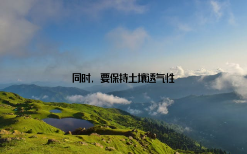 同时, 要保持土壤透气性