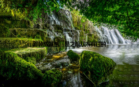 那种成就感, 是之前从未有过的