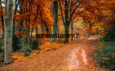 就是等待收获的季节了