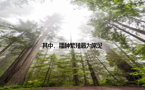 其中, 播种繁殖最为常见