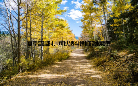 夏季高温时, 可以适当增加浇水频率