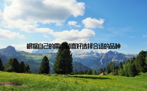 根据自己的需求和喜好选择合适的品种