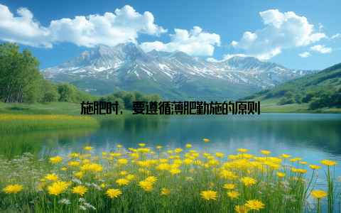 施肥时, 要遵循薄肥勤施的原则