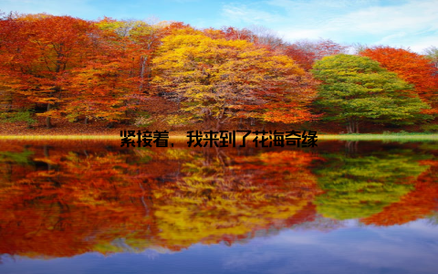 紧接着, 我来到了花海奇缘