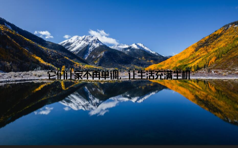 它们让家不再单调, 让生活充满生机