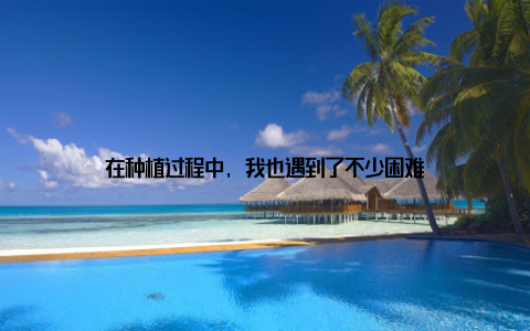 在种植过程中, 我也遇到了不少困难