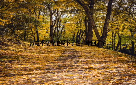 我毫不犹豫地买下了它, 带回了家