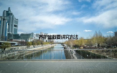 养护盆栽要讲究方法