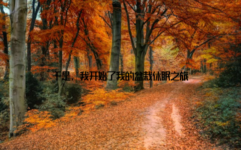 于是, 我开始了我的盆栽休眠之旅