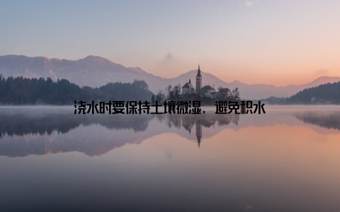 浇水时要保持土壤微湿, 避免积水