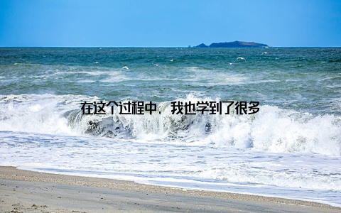 在这个过程中, 我也学到了很多