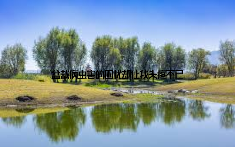 盆栽病虫害的困扰却让我头疼不已