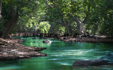 适时浇水根据植物的习性, 适时浇水