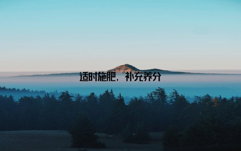 适时施肥, 补充养分