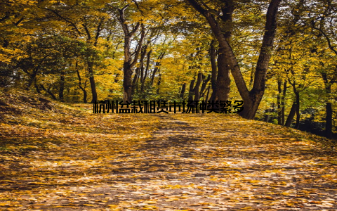 杭州盆栽租赁市场种类繁多