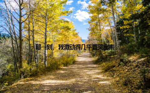 那一刻, 我激动得几乎要哭出来