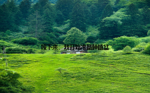 接下来, 我开始准备种植盆