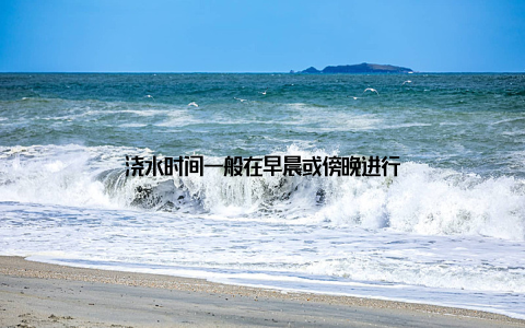 浇水时间一般在早晨或傍晚进行