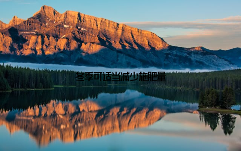 冬季可适当减少施肥量