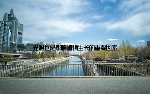 光照也是影响植物生长的重要因素