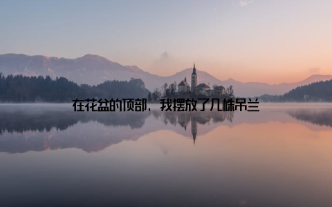 在花盆的顶部, 我摆放了几株吊兰