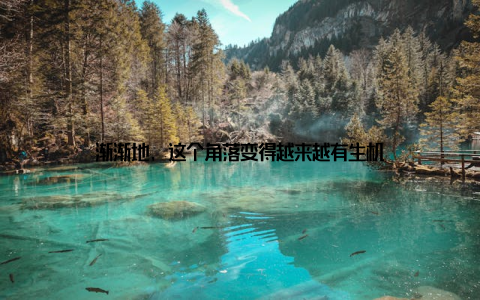 渐渐地, 这个角落变得越来越有生机