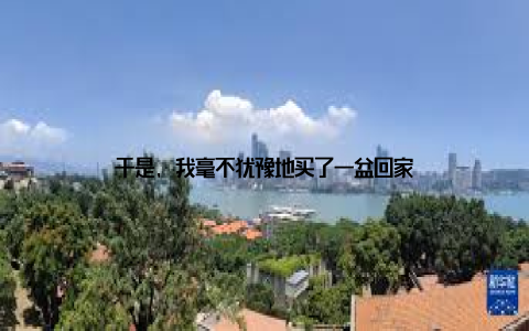于是, 我毫不犹豫地买了一盆回家