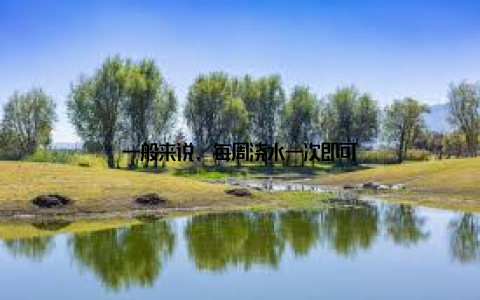 一般来说, 每周浇水一次即可