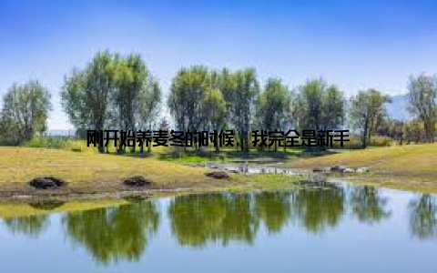 刚开始养麦冬的时候, 我完全是新手