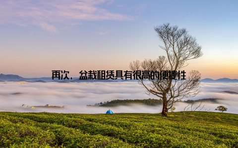 再次, 盆栽租赁具有很高的便捷性