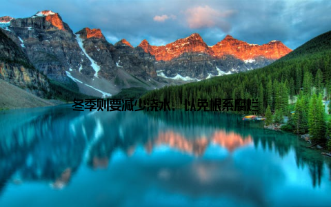 冬季则要减少浇水, 以免根系腐烂